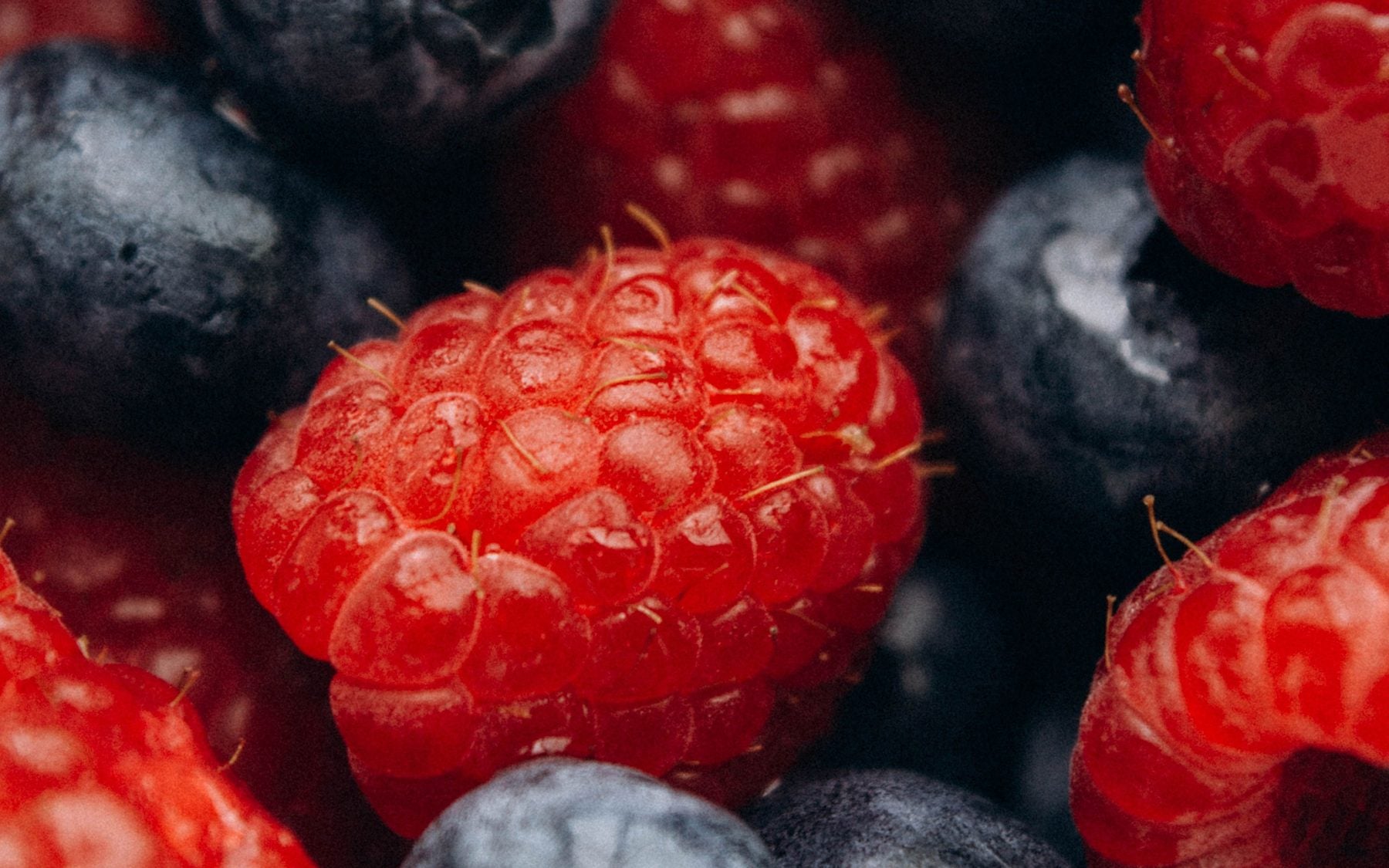 Raspberries and blueberries in close-up