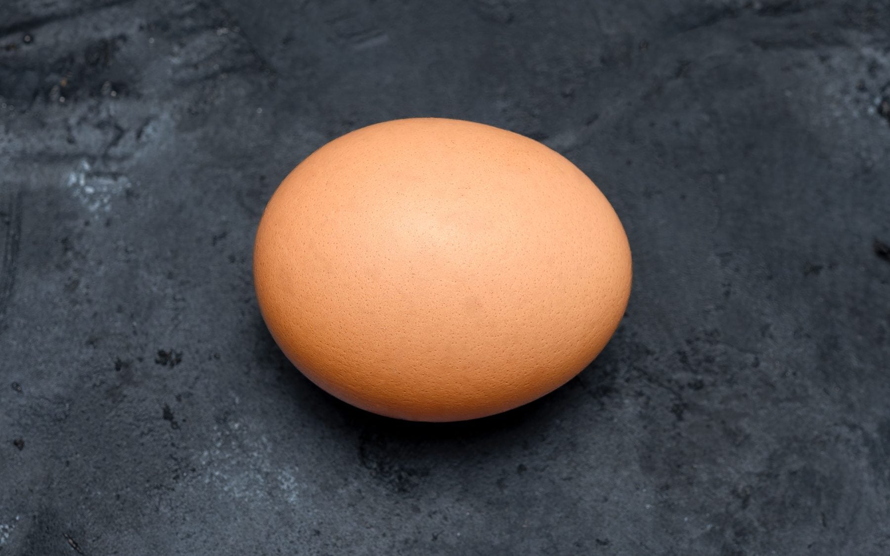 A single brown hen's egg on dark slate